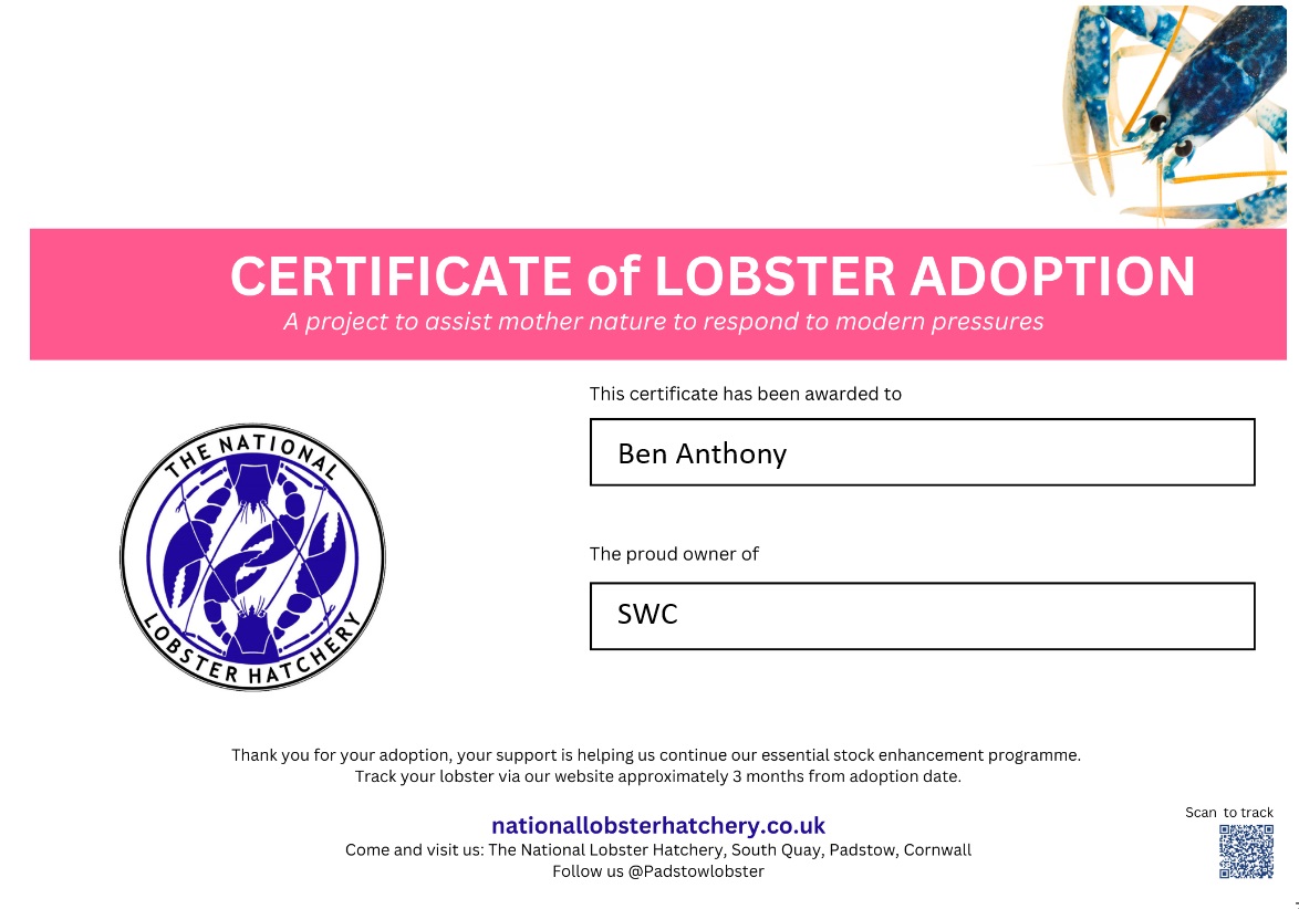 Certificate of adoption — SWC the Lobster